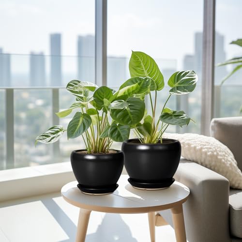 Ceramic Planters Pots - 10 Inch 8 Inch 6 Inch Plant Pots Indoor with Drainage Holes and Saucers Large Planters Mid-Century Flower Pots Outdoor Set of 3 Black - color: Black