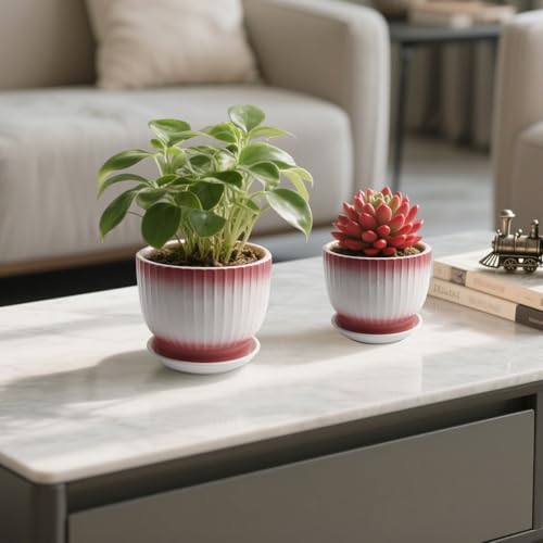 Ceramic Plant Pots, Set of 2, Pink + White, 6.7 + 5.5 Inch - color: Pink + White