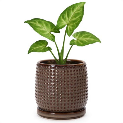 D'vine Dev Beaded Ceramic Pot with Saucer, 4 in, Stone Taupe, 27-C-Z-L - color: Stone Taupe, size: 4.3 Inch