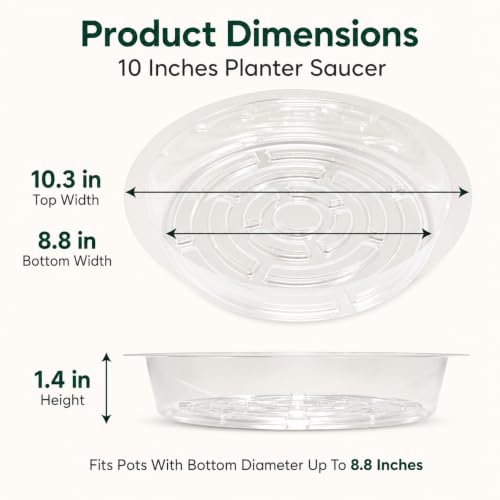 Gardzen Heavy Duty Clear Plastic Plant Saucers, Flower Pot Tray - Excellent for Indoor & Outdoor Plants (10-Inch, 10-Pack) - size: 10 Inch