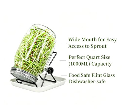 Lulonpon One Sprouting Jar Kit, Wide Mouth Quart Mason Jars with Stainless Steel Screen Sprout Lids, 86mm,1000ml,Stand,Tray and Canning Brush,Seed Sprouter Set for Growing Broccoli, Alfalfa, Mung Bean - color: White-NoCoverPTray