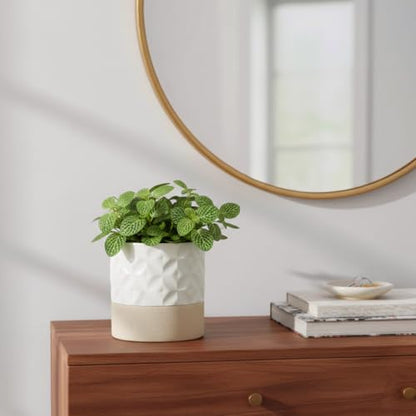 Nihow Self Watering Ceramic Plant Pot, 4.5 Inch, Matte White & Brown Star - color: Matte White & Brown Star, size: 4.5" Self Watering