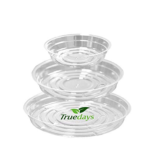 TRUEDAYS 6 Inch 5 Pack Clear Plant Saucers Flower Pot Tray Excellent for Indoor & Outdoor Plants - size: 5-Pack (6'' Only)