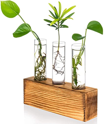 Kingbuy 3 Pack Glass Test Tube Propagation Vase Hydroponic Cuttings Planter - size: 3 Pack