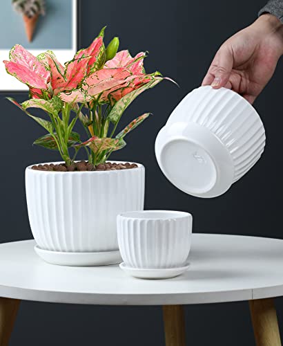 White Plant Pots,Ceramic Flower Pot Set of 3 with Drainage Holes & Saucers - color: White