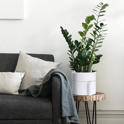 Phoenix Vine 8 Inch Self-Watering Planter Pot with Terracotta Insert, Deep Water Reservoir, and Ceramic-Alike BPA-Free Plastic Planter Pot for Plant, Modern Planter for Houseplants, White, 53-A-T-1 - color: White, size: 8 Inch