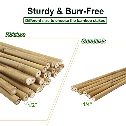 Jollybower 25pcs 1/2" D Thicker Heavy Duty Bamboo Stakes, 4FT Plant Stakes, Natural Garden Stakes for Tomato, Bean, Flowers,Trees Potted and Climbing Plant Support - size: 4Ft, Pack of 25