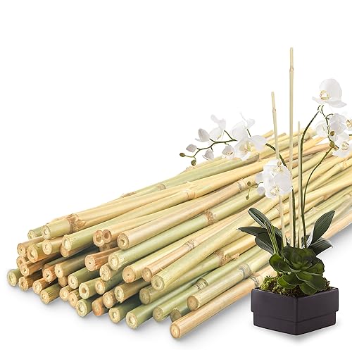 50Pcs / 2ft Bamboo Plant Stakes for Indoor Outdoor Plants, Garden Plant Support Sticks, Poles for Tomato Vegetables Beans Trees Potted Climbing Plants(0.32'') - size: 2 FT 50PCS