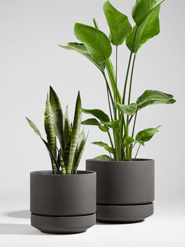 LE TAUCI 12 Inch Pot for Plants with Saucer, Ceramic Indoor Planter Pot with Drainage Hole, Mesh Pad Included, Unglazed Porous Ceramic, Modern for Home and Office, Charcoal Gray - color: Charcoal Gray, size: 12 Inch