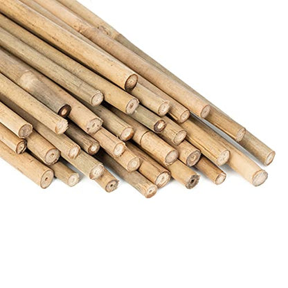GAGINANG Natural Bamboo Garden Stakes, 20pcs Plant Sticks 16 inches - size: 16 inches