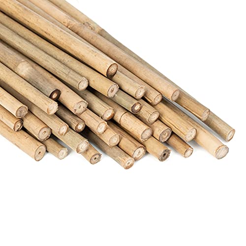 GAGINANG Natural Bamboo Garden Stakes, 20pcs Plant Sticks 18 inches - size: 18 inches
