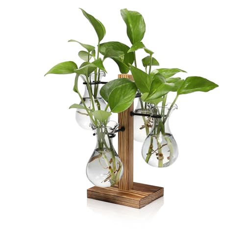 Plants Propagation Stations Bulb Glass Propagation Birthday Gift for Women - color: Gray