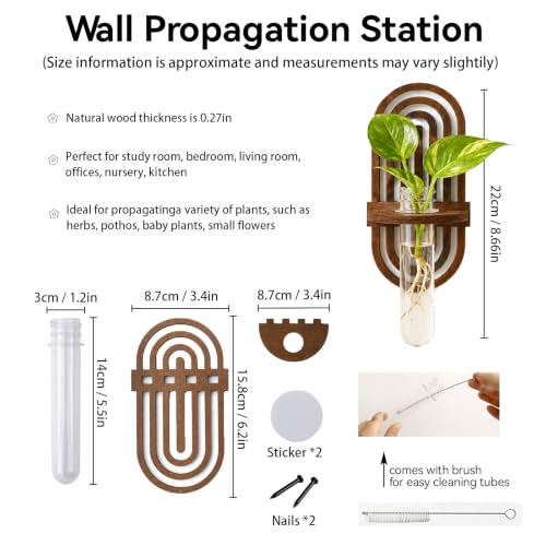 Artilady Plant Propagation Station Wall Hanging, Wood Arch Terrariums Tube - color: Oval 2