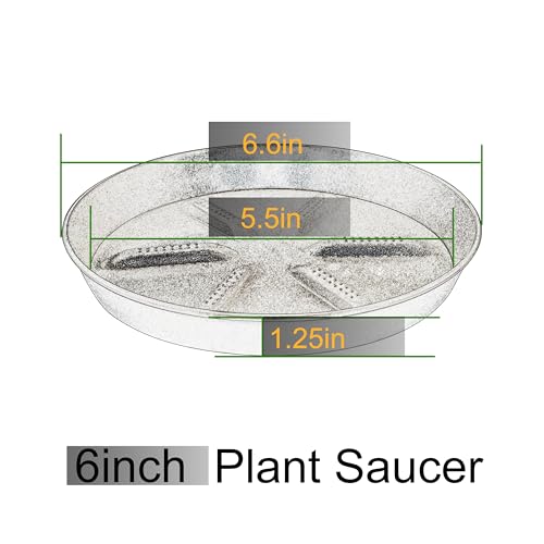 NIMYAU Plant Saucer 6 Inch 4 Pack,Thick Plastic with Raised Center Design Plant Saucers 8 10 12 14 17, Superior Drainage Drip Tray for Indoor Outdoor Planters (6 inch) - color: Black, size: 6" (4-Pack)