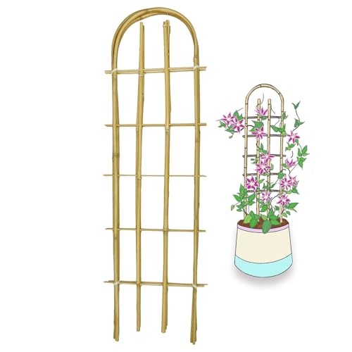 Bamboo Trellis,U-Shape Bamboo Trellis,3Feet,3pack,Trellis for Climbing Plants Outdoor Bamboo,for,Climbing Plants,Tomato, Vegetables,Flowers, Beans, Cucumber,Indoor Potted Climb Plants - style: U-Shape,3Ft,3Pack