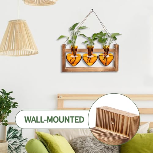 Plant Terrarium Propagation Stations Hydroponics - color: Amber