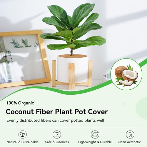 ZeeDix 11.8 Inch Coconut Fiber Tree Ring Mulch Mat, 6 Pack Tree Mulch Ring - color: 6 Pack, size: 11.8 Inch