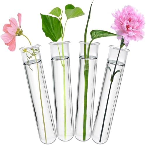 Glass Test Tubes for Plants with Reinforced Rim, 4 Piece Clear 5.9" x 1.2" Borosilicate Propagation Tubes Vase for Hydroponic Plant Starter, Cuttings and Flower Arrangement