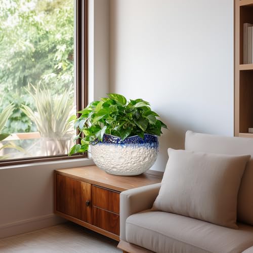 Ceramic Flower Pots, 10 Inch Planter with Drainage, Beige-Blue - color: Beige-blue, size: 10.5 Inch