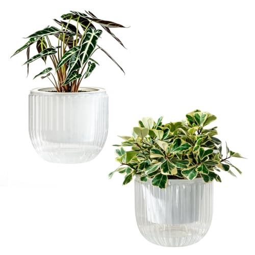 Melphoe Self Watering Pots for Indoor Plants Planter, 8.3 Inch 2 Pack Planters Self Watering Plant Pots for Flower, Houseplants, Succulent, African Violets and Cactus with Drainage - color: White, size: 8.3''