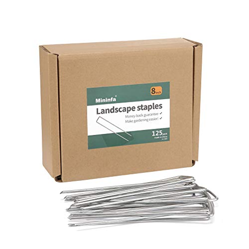 Mininfa 8 Inch Heavy Duty 8 Gauge 125 Pack Galvanized Garden Stakes, Rust Resistant Landscape Staples, Lawn pins Fabric Staples for Anchoring Landscaping, Weed Barrier Fabric, Ground Cover - size: 8 inch 125 Pack