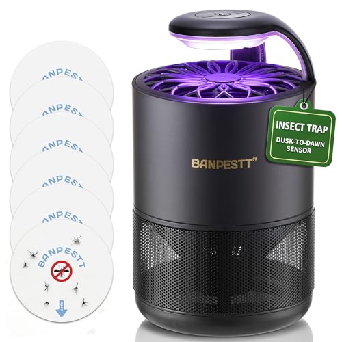Indoor Fly Trap, Fruit Fly & Gnat Trap,UV Light Fan Suction, 6 Glue Boards - color: Black