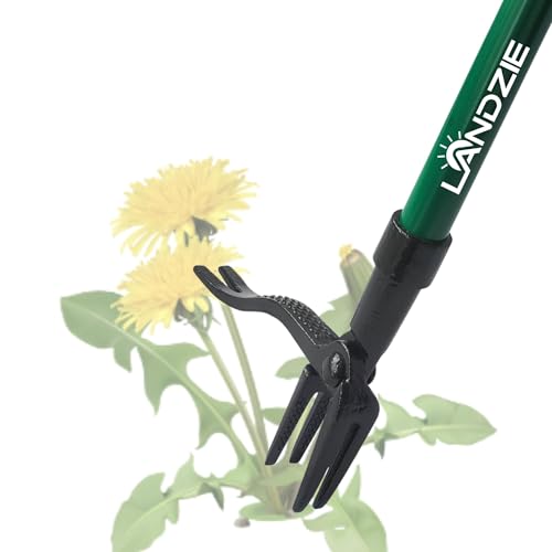 Landzie - Weed Puller Tool 55", Stand Up Weeder with Long Handle