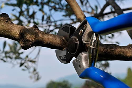 Professional Double-Cut Pruners, M/L