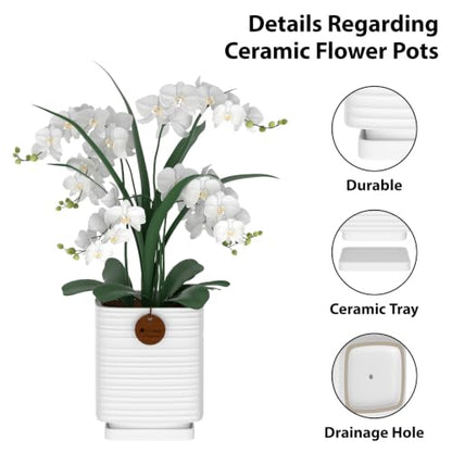 7.1 Inch White Ceramic Planter with Drainage and Saucer - color: Matte White, size: Large