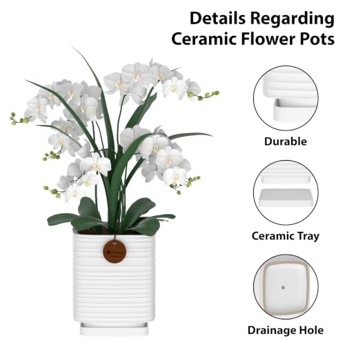 5.1 Inch White Ceramic Planter with Drainage and Saucer - color: Matte White, size: Small