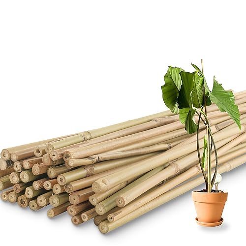 50Pcs / 3ft Bamboo Plant Stakes for Indoor Outdoor Plants, Garden Plant Support Sticks, Poles for Tomato Vegetables Beans Trees Potted Climbing Plants(0.32''-0.4'') - size: 3 FT 50PCS