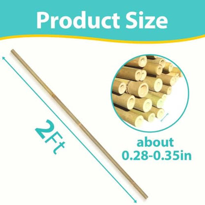 Bamboo Stakes 2FT, 30pcs Plant Stakes, Garden Stakes Specifically Designed for Climbing Plants, Ideal for Tomatoes, Beans, Cucumbers, Peppers, Vines, and More Plant Growth - size: 2FT, 30pcs