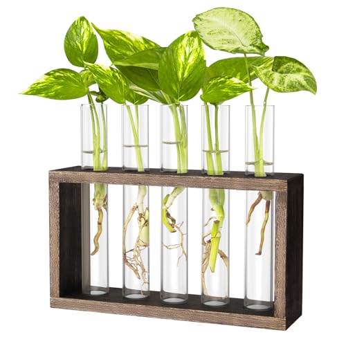 Propagation Station, Plants Terrarium, Plants Lover Gifts for Women,Plant Cutting Holder Home décor,Gifts for Women,House Warming New Home-5 Tubes-Brown