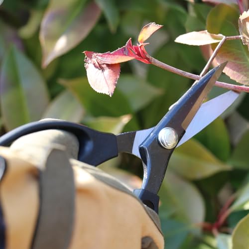 Senkichi Pruning Shears 200mm/7.9" Razor-Sharp Thin Blade - Japanese Pruner - size: 200mm (7.9")