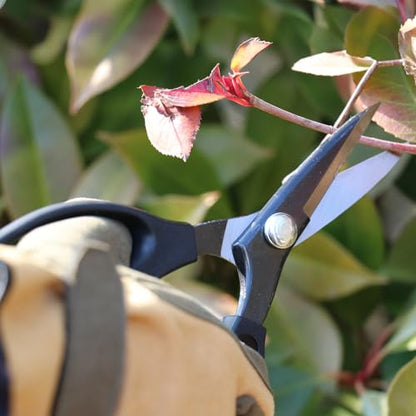 Senkichi Pruning Shears 200mm/7.9" Razor-Sharp Thin Blade - Japanese Pruner - size: 200mm (7.9")