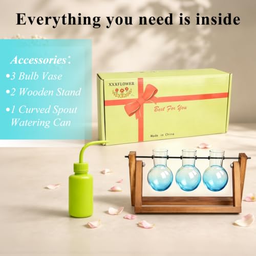 XXXFLOWER Plant Terrarium Kit with Wooden Stand 3 Gradient Blue Bulb Vases - color: Blue