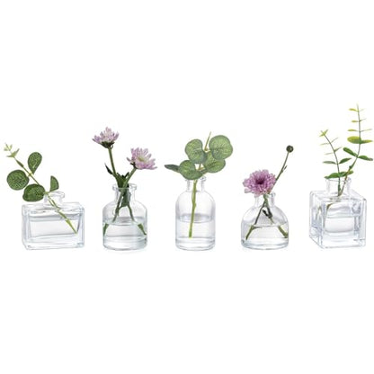 Glasseam Small Vases for Flowers, Clear Mini Glass Bud Vases Set of 5 - color: Clear, size: 5Pcs- Mini Vases