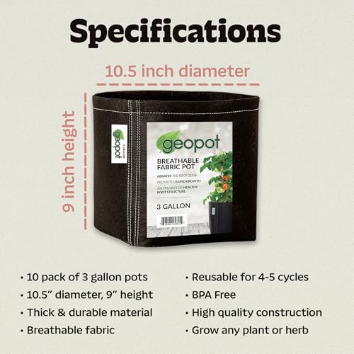 GeoPot 3 Gallon Fabric Grow Bags - 10 Pack - Black - Indoor/Outdoor - Aerated Fabric Pots for Vegetables, Herbs, Flowers & Houseplants - size: 3 Gallon (10-Pack), style: No Handles