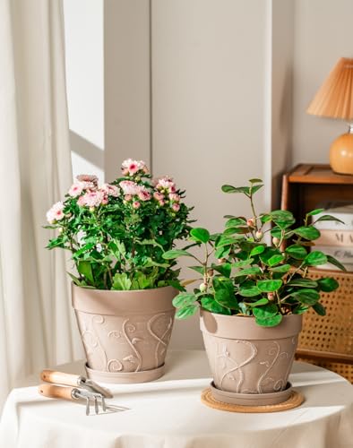 Melphoe Plant Pots Indoor with Drainage & Saucer, 2Pack 7/8 inch Flower Pots Outdoor Planters for Indoor Plants Garden Home Decor Cactus Succulent, Rigid Plastic (Imitation-Terracotta) Vine-Embossed - color: Undecorated Pottery Color, size: 7/8 inch