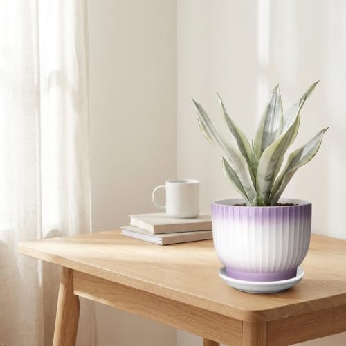8 Inch Ceramic Plant Pot,Purple + White - color: Purple + White, size: 8 Inch(1 PCS)