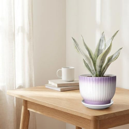 8 Inch Ceramic Plant Pot,Purple + White - color: Purple + White, size: 8 Inch(1 PCS)