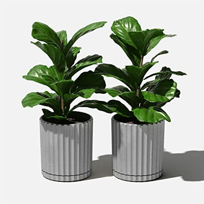 Veradek Demi Series Demi 6" Planter w/Tray - Grey, 2 Pack - color: Gray, size: 6 inch - 2 Pack