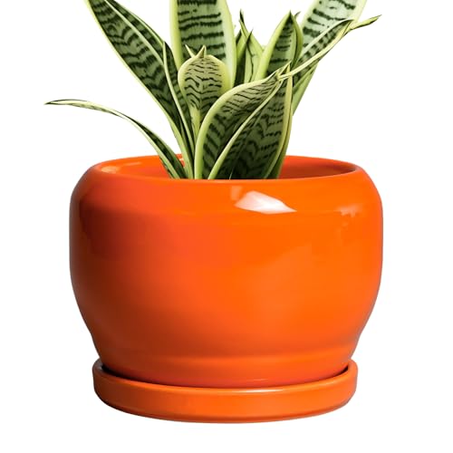 SQOWL Ceramic Plants Pots - 6 Inch Planter Indoor with Drainage Hole and Plant Saucer, Modern Round Planter Outdoor, Decorative Succulent Pot, Home Decor, Housewarming Gifts, Orange - color: Glossy Orange, size: 6 Inch