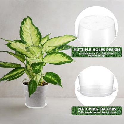 Baderke 3 Pack Clear Nursery Pot,8 Inches,9.25 Inches,9.6 Inch - size: 8 Inches, 9.25 Inches, 9.65 Inches