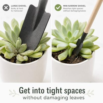 3Pcs Mini Gardening Tool Set with Wooden Handles Includes Small Hand Rake and Spade Ideal for Bonsai and Potted Plants Care
