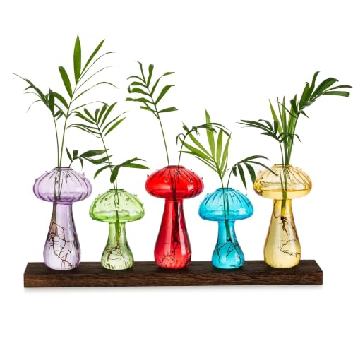 Glasseam Mushroom Propagation Station, Glass Plant Terrarium Jars with Tray