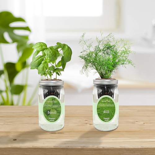 2-Pack Hydroponic Mason Jar Herb Garden Kit, Indoor Herb Garden Self-Watering Starter Kit (Basil,Dill)