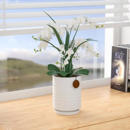 5.9 Inch White Ceramic Planter with Drainage and Saucer - color: White, size: Medium