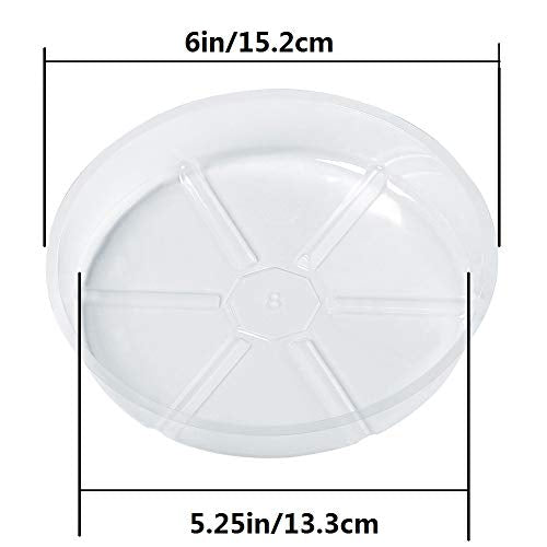 Idyllize 10 Pieces of 6 Inch Clear Plastic Plant Saucer Drip Trays for pots (6") - size: 6"