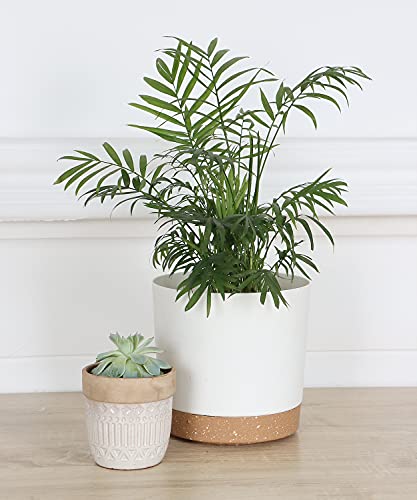 kubvici Indoor Plant Pots Planters 8 inch Plastic Planter (White x 3 Pack) - color: White 3, size: 8 inch